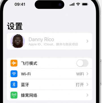 三原appleID维修服务iPhone设置中Apple ID显示为灰色无法使用 