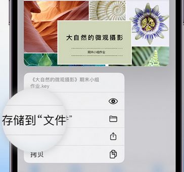 三原apple维修中心分享iPhone文件应用中存储和找到下载文件