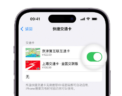 三原apple维修点分享iPhone上更换Apple Pay快捷交通卡手绘卡面 