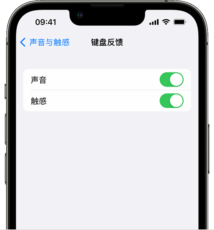 三原苹果14维修店分享如何在 iPhone 14 机型中使用触感键盘 