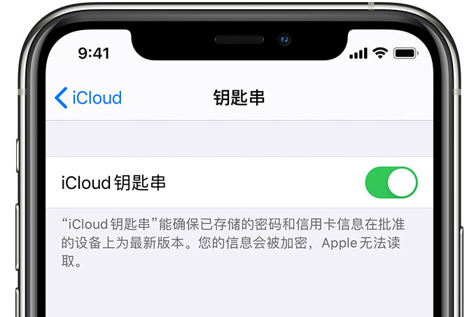 三原苹果手机维修分享在 iPhone 上开启 iCloud 钥匙串之后会储存哪些信息 