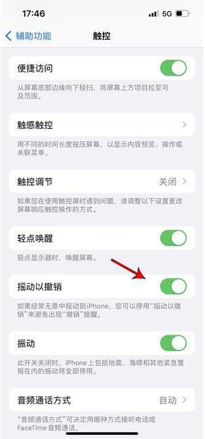 三原苹果手机维修分享iPhone手机如何设置摇一摇删除文字 