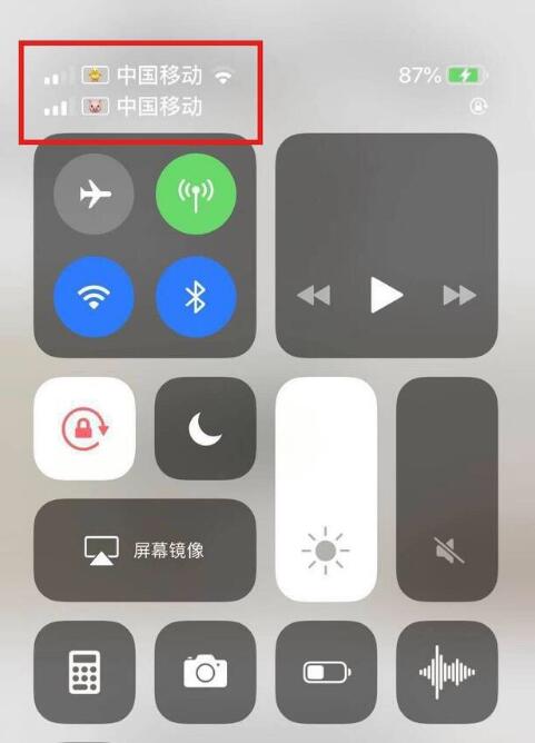 三原苹果手机维修分享为 iPhone 12 双卡设置标签 
